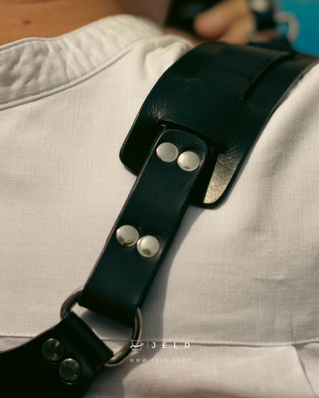 Dual Camera Harness