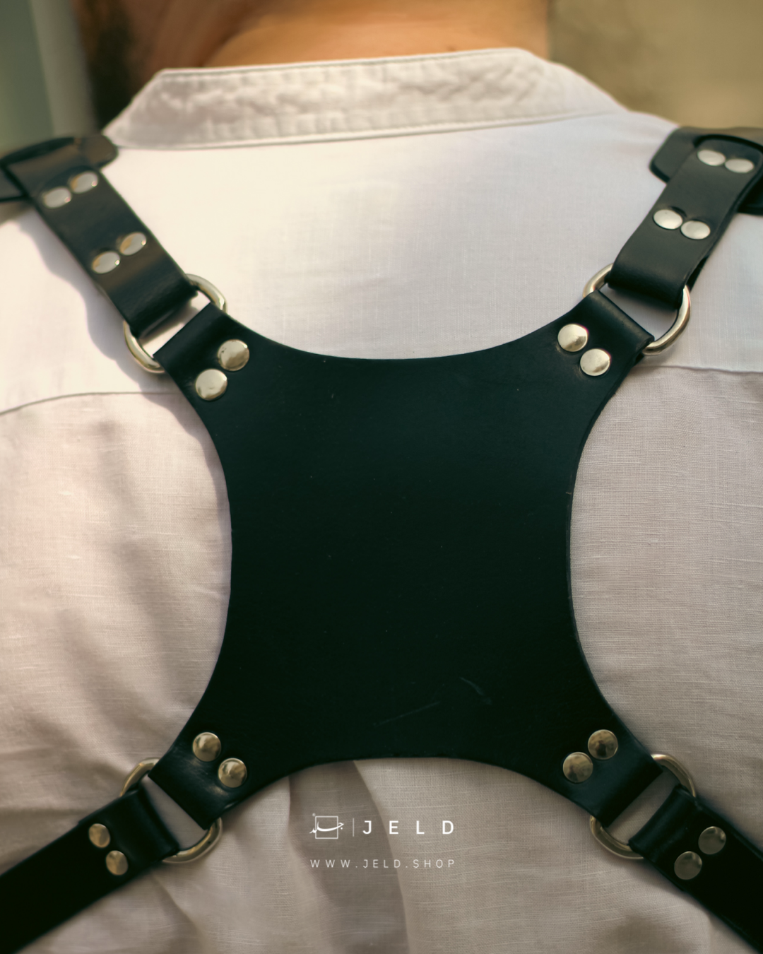 Dual Camera Harness